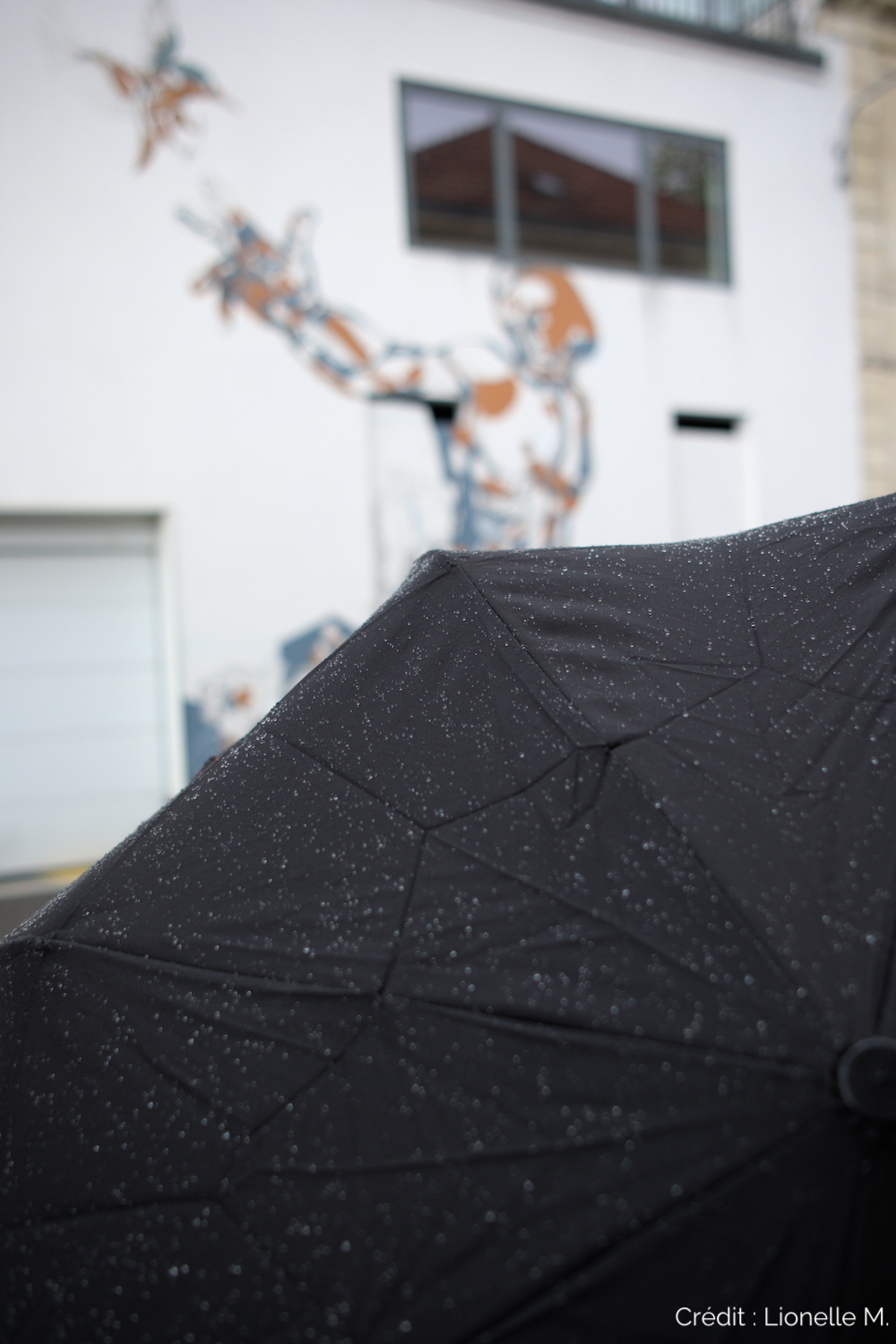 Journées-Européennes-du-Patrimoine-et-du-Matrimoine-20258958