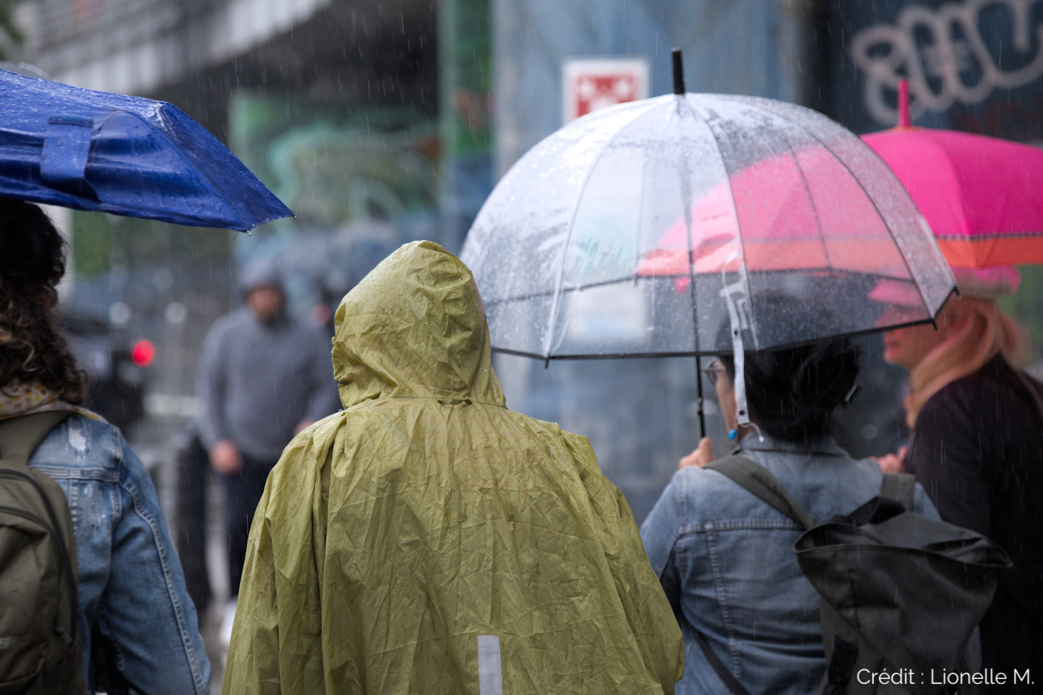 Journées-Européennes-du-Patrimoine-et-du-Matrimoine-20259080